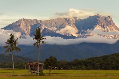 Taun Gusi Village Homestay Kota Belud Extérieur photo